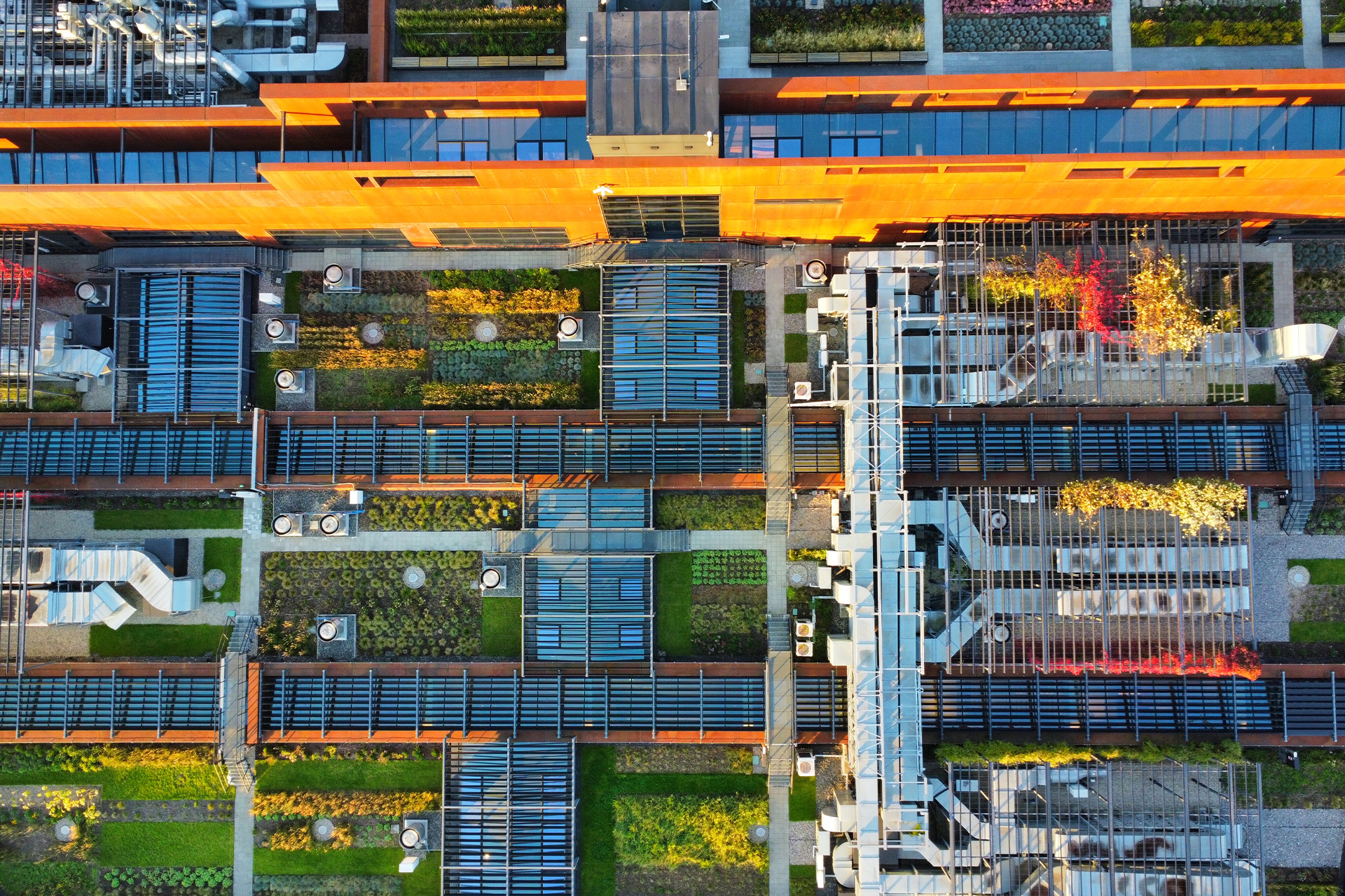 Green Roofs