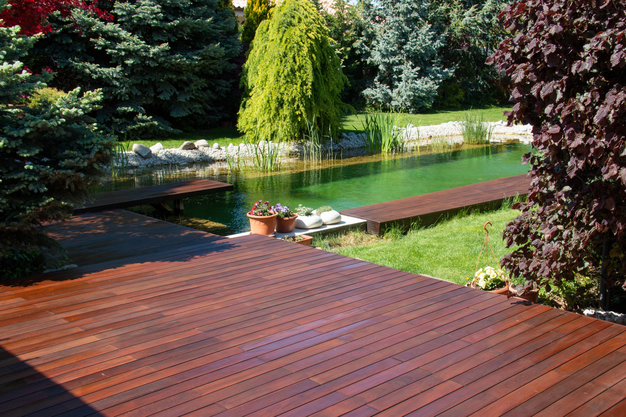 Ipe Wood